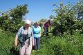 8. Judith, Jane and Mary make short work of the stile
